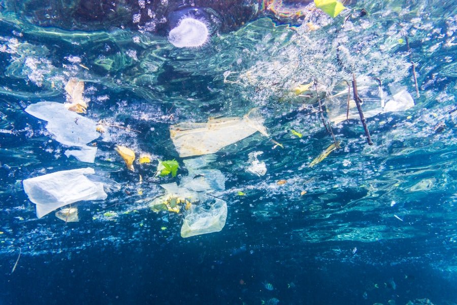 Az óceántól megmentett műanyag (Prevented Ocean Plastic, röviden POP) segíthet az óceáni műanyag elleni küzdelemben - CYCLE Öko tisztítószerek